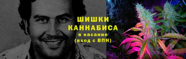 не бодяженный Аркадак