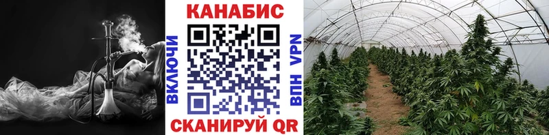 гидра маркетплейс  Богучар  Бошки Шишки семена 